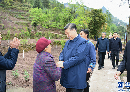 “這件事我要以釘釘子精神反反復(fù)復(fù)地去抓”——記習(xí)近平總書記在重慶專題調(diào)研脫貧攻堅(jiān)